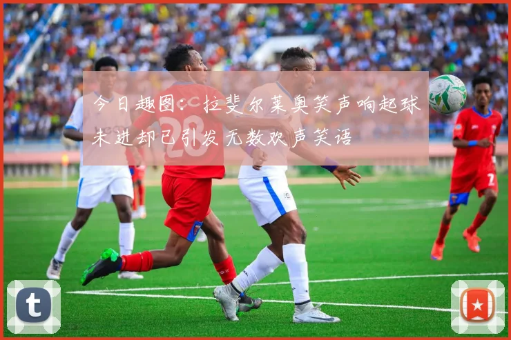 今日趣图：拉斐尔莱奥笑声响起球未进却已引发无数欢声笑语